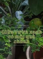 giua-vuon-xanh-co-mot-qua-chanh